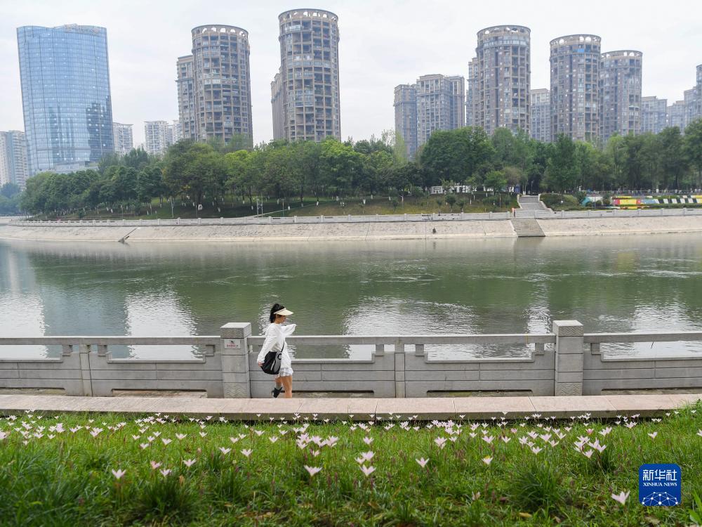 蒙特卡罗登陆